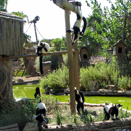 vrijgezellenfeest vrouwen zoo